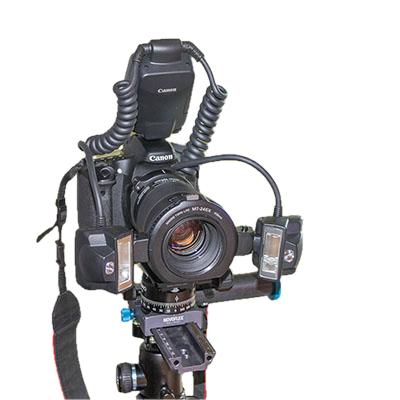 Canon Macro Twin Lite MT-24EX