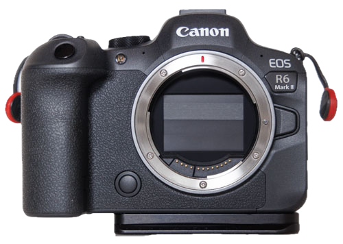 Canon EOS R6 Mk II Body
