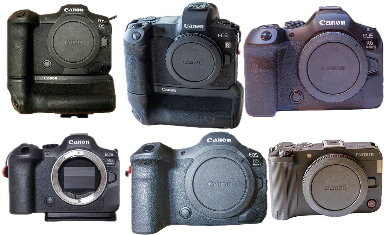 Meine Canon Kamera R-Bodies: EOS R5, EOS R, EOS R6 III,EOS R6 II, EOS R5 II, EOS R50V