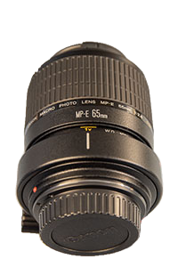 Canon MP-E 65mm f/2.8 1-5x Macro Photo