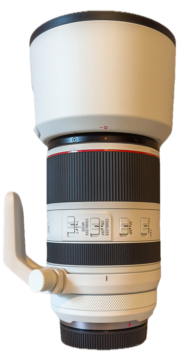 Canon RF 70-200 mm f2.8 L IS USM