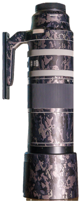 Das RF 200-800 mm f6.3-9 IS USM mit den angebrachten Decals