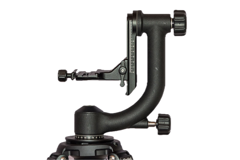 Benro Gimbal Head GH2